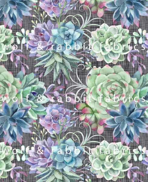 Succulents