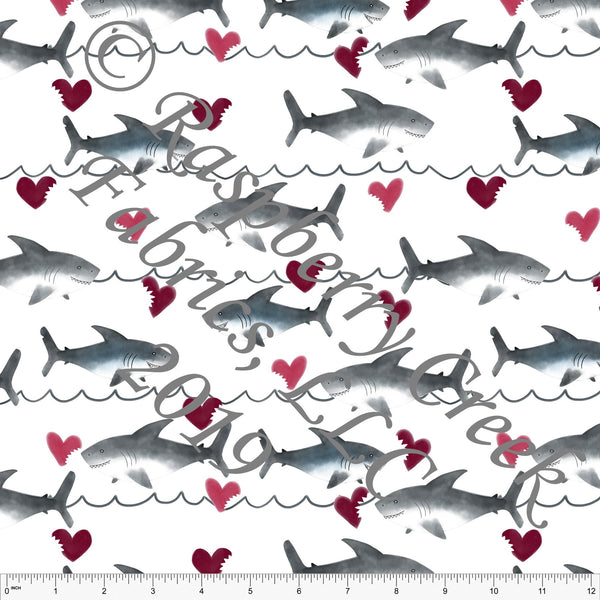 Sharks Valentine’s Day